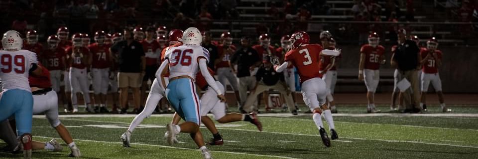 William Wolfe banner