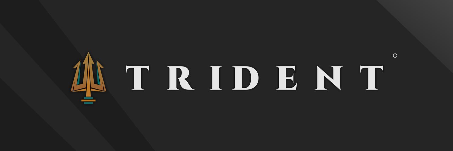 trident banner