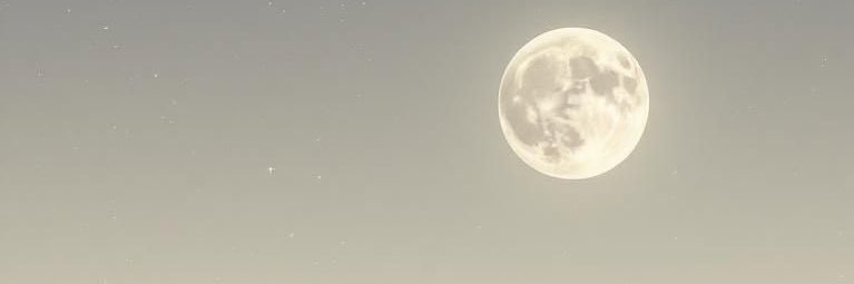 maddycolada's profile banner image