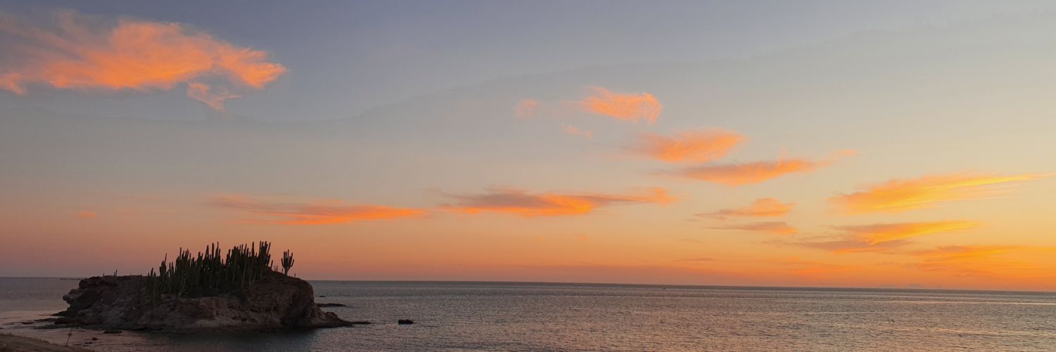 duartenrique's profile banner image