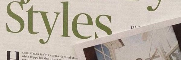 myharrysue Profile Banner
