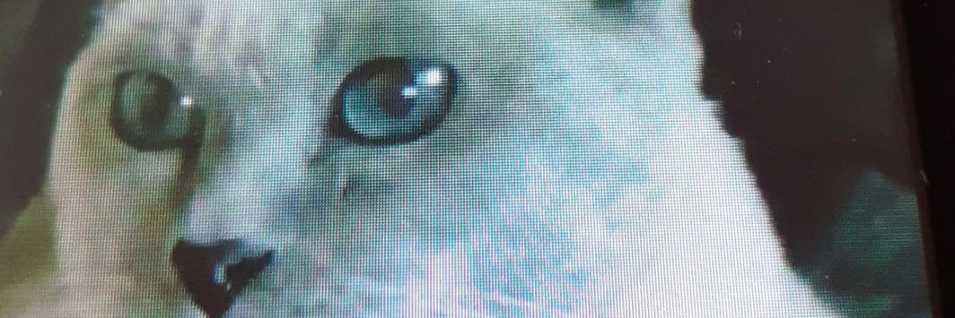 NACHALARES's profile banner image