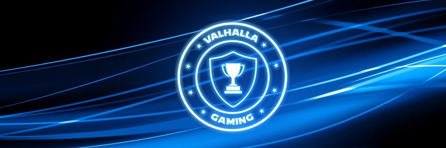 VG - FIFA Host banner