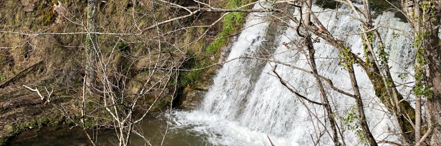 Ga. 💚 RRCS banner