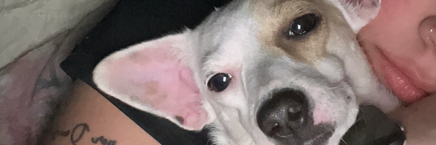 ibrunanuness's profile banner image