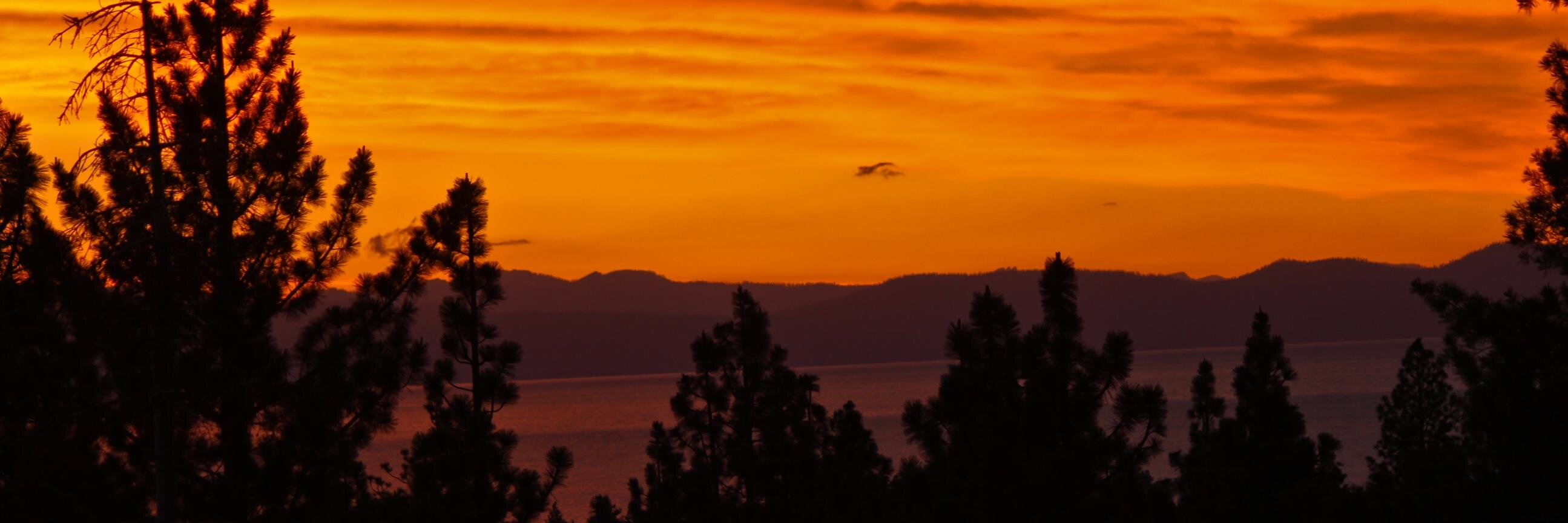 Kevin Halteman banner