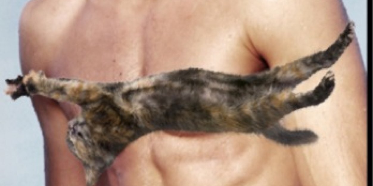 zaccats's profile banner image