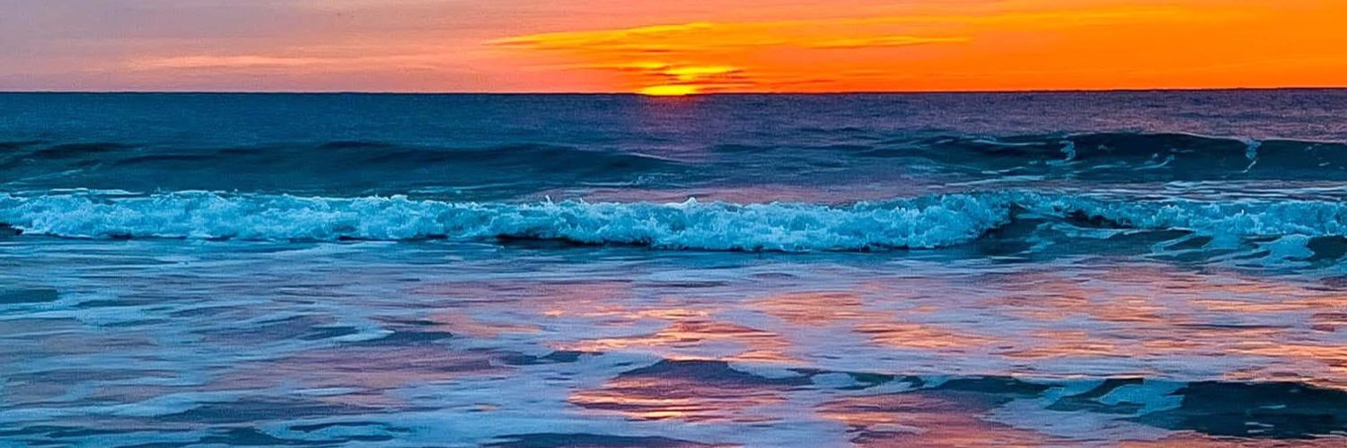 🇺🇸 M. Gadsden banner