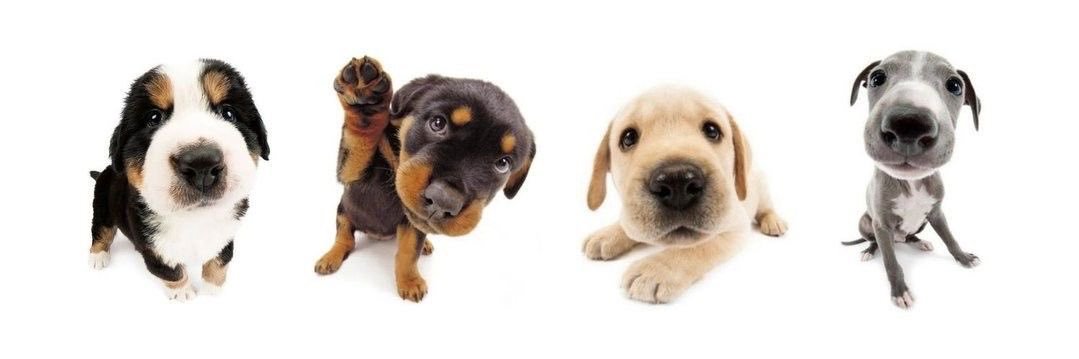 Yuu☕️🍫 banner