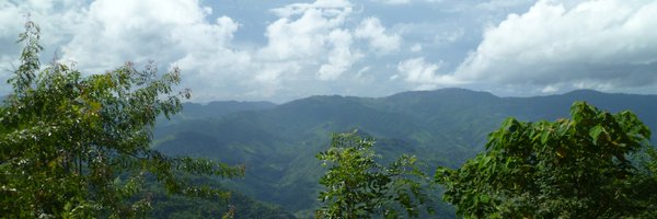hannahsassoon Profile Banner
