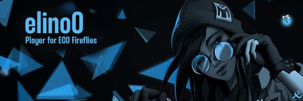 elinoo8 Profile Banner