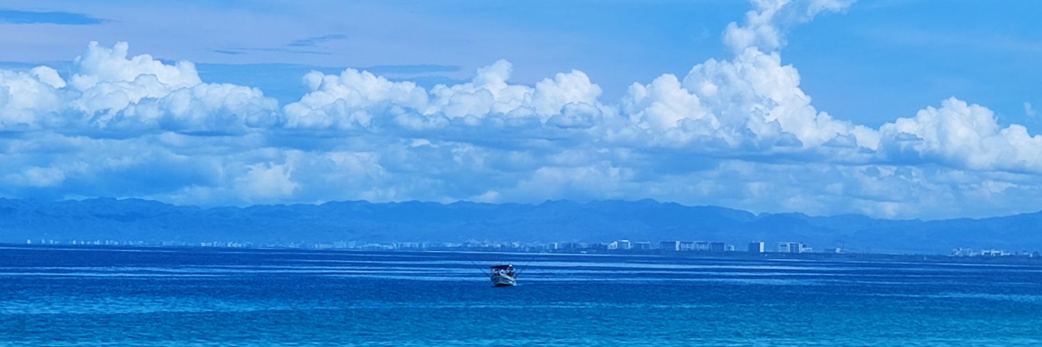 saerte's profile banner image