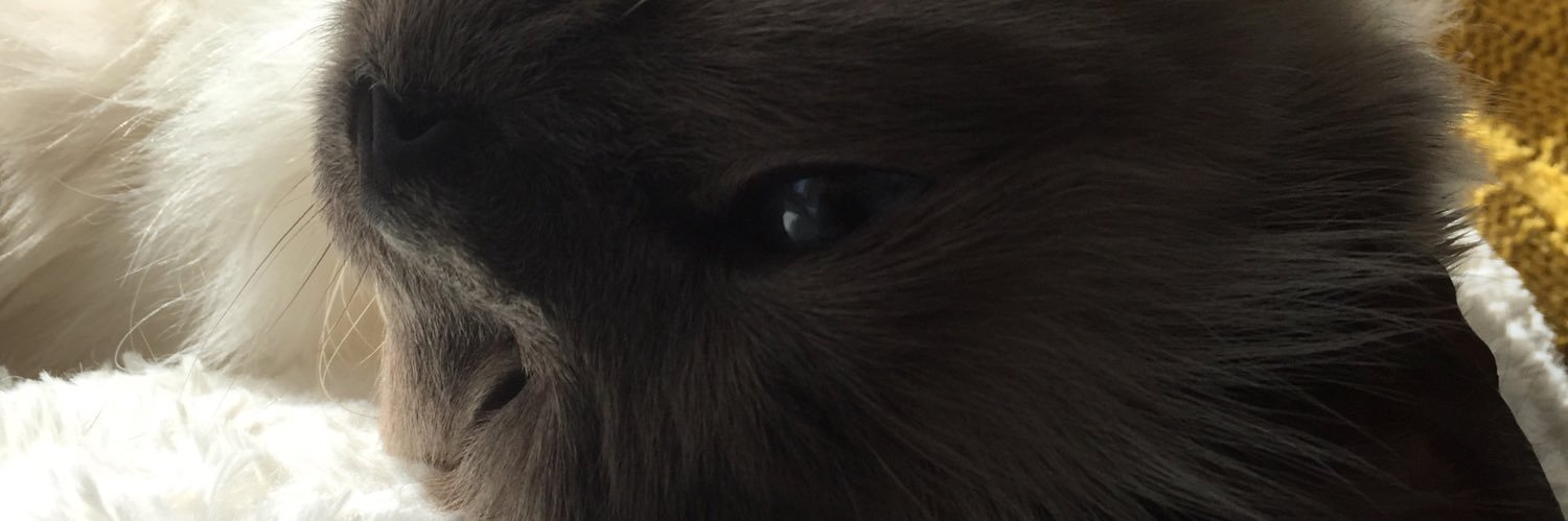 Mel banner