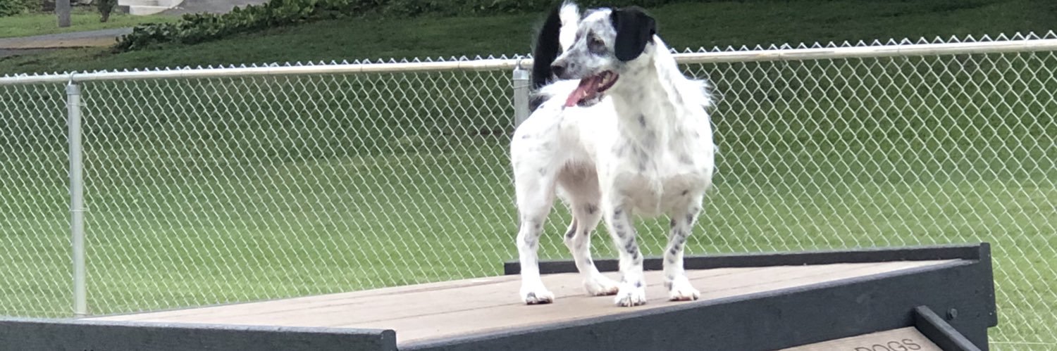 usps_doge's profile banner image