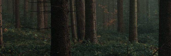aliciasmith97's profile banner image