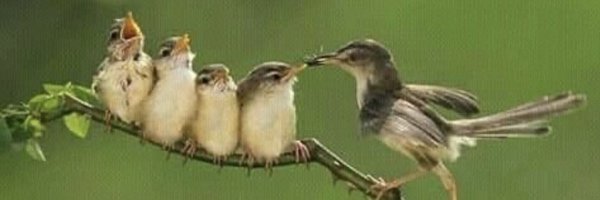 yolcu1962 Profile Banner