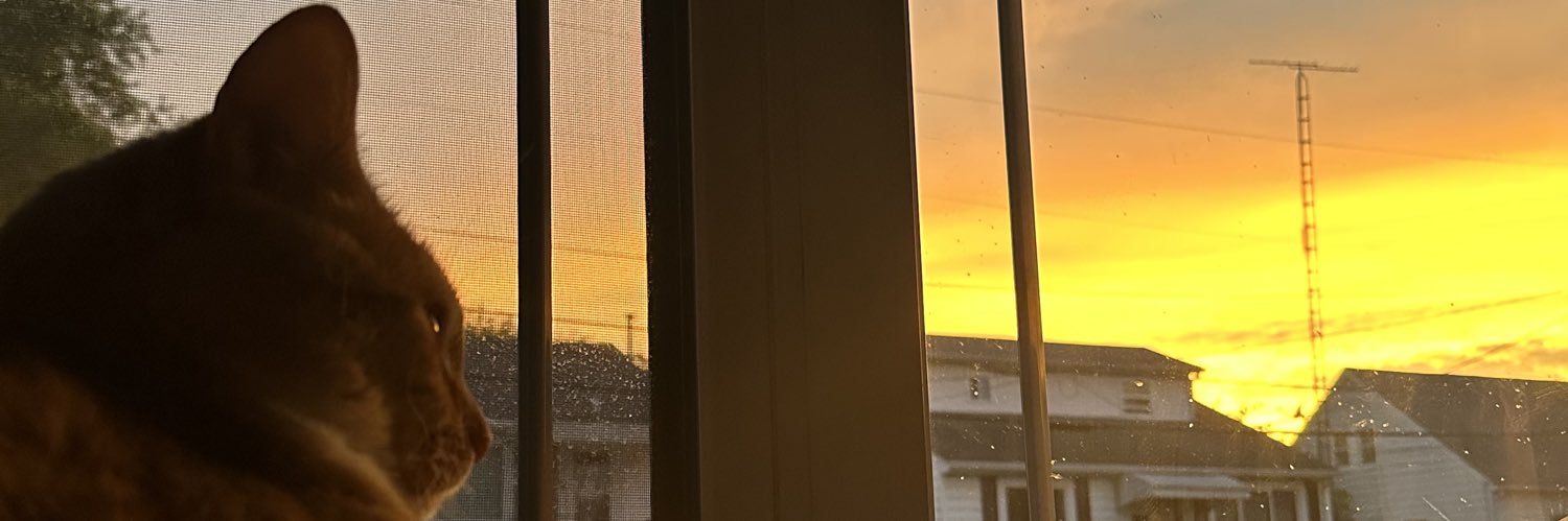 Z_Zackyj's profile banner image