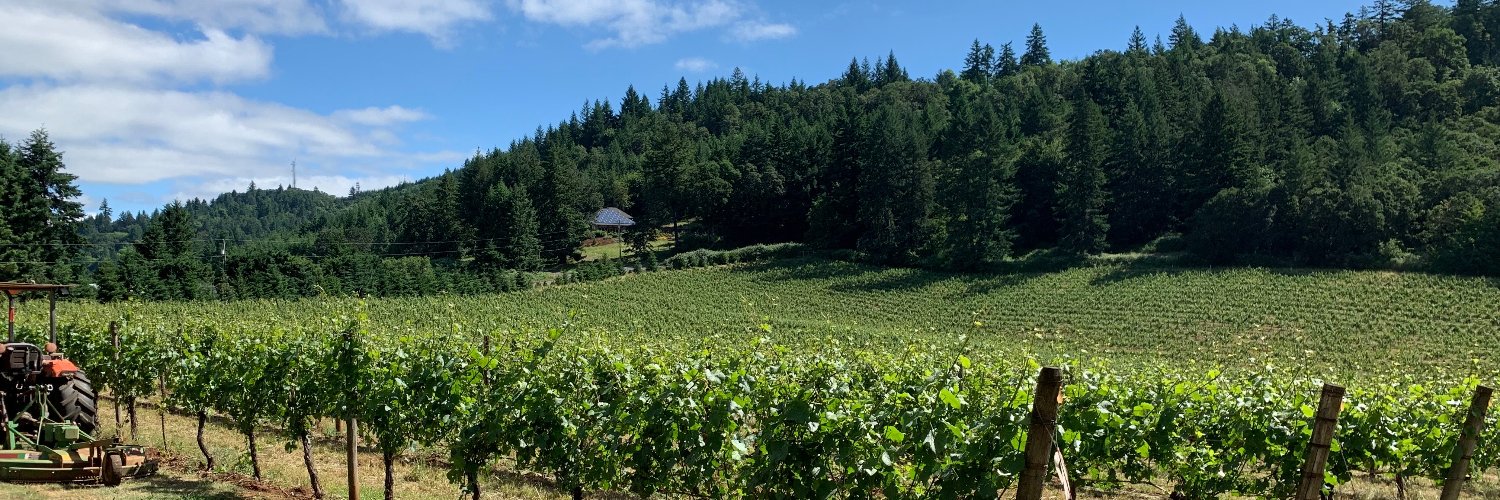 CatalystWines banner