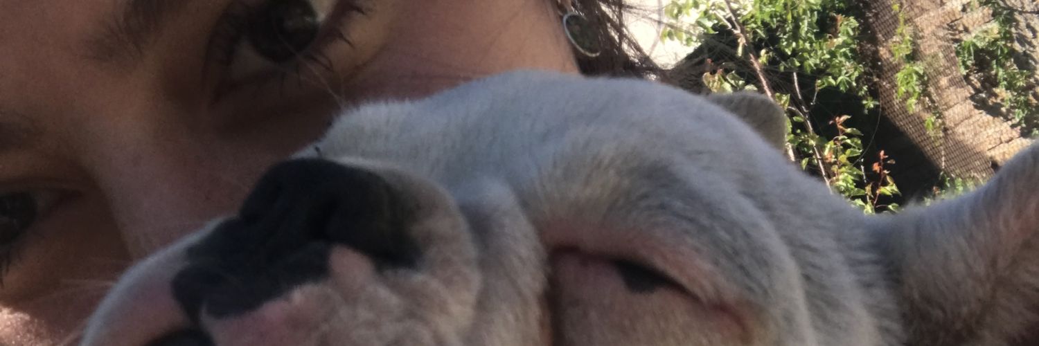 Sofi_Schulz's profile banner image