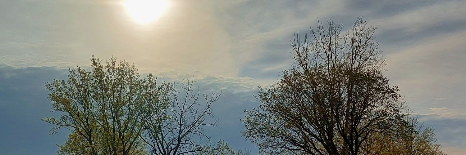 popsamice's profile banner image