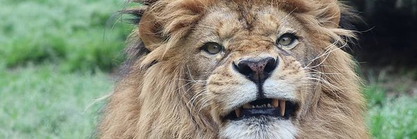 black03_white03 Profile Banner