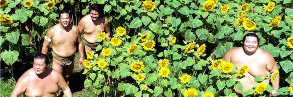 🌟☄️~Cloud 9~☄️🌟 banner