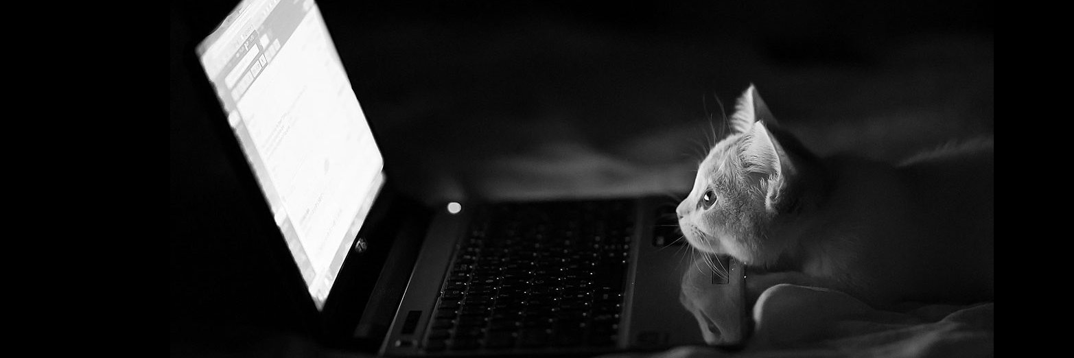 ffrckittycam's profile banner image