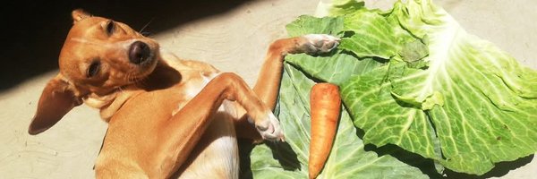 erikap0nce Profile Banner