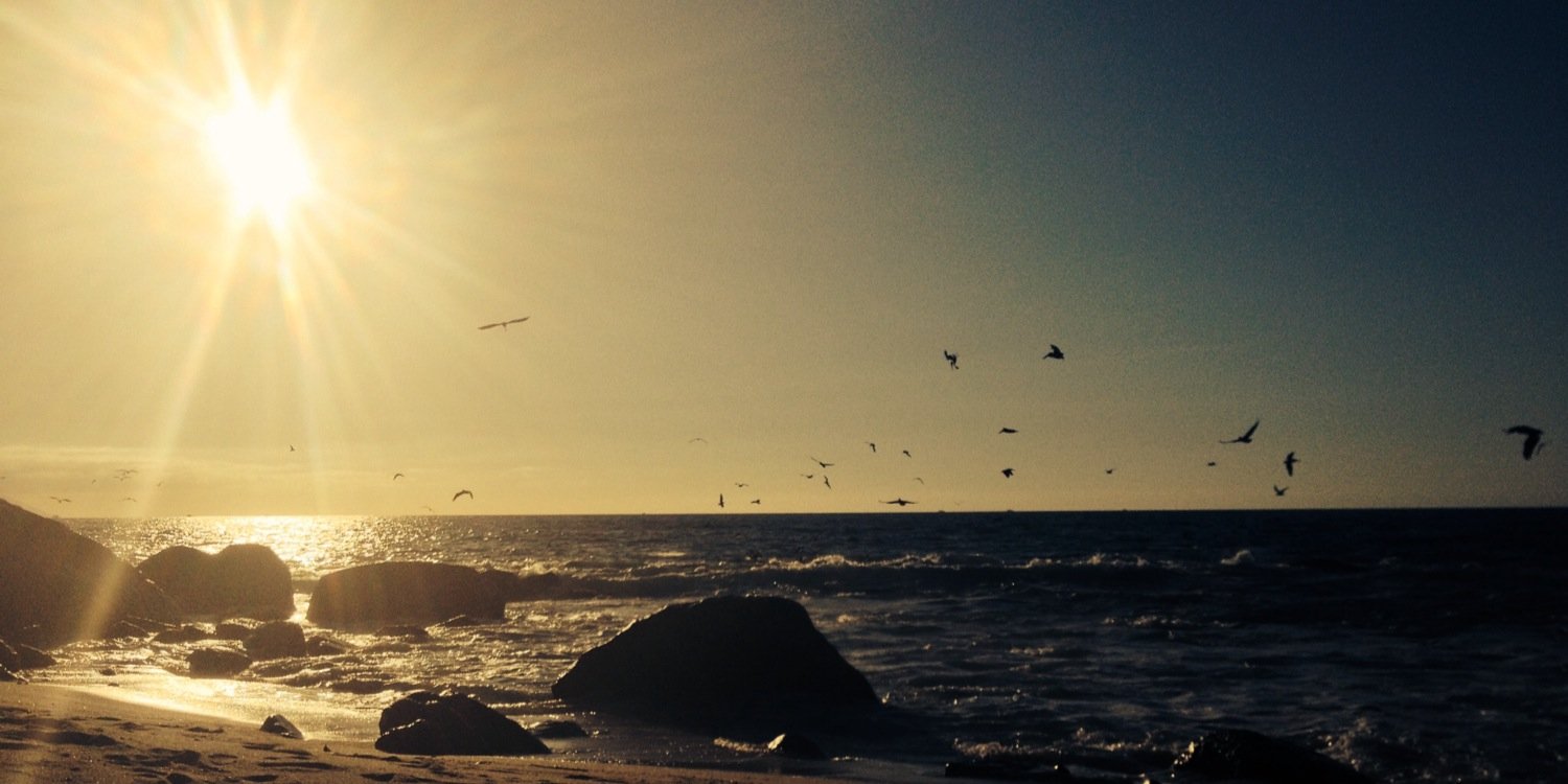 kaileybcarey's profile banner image