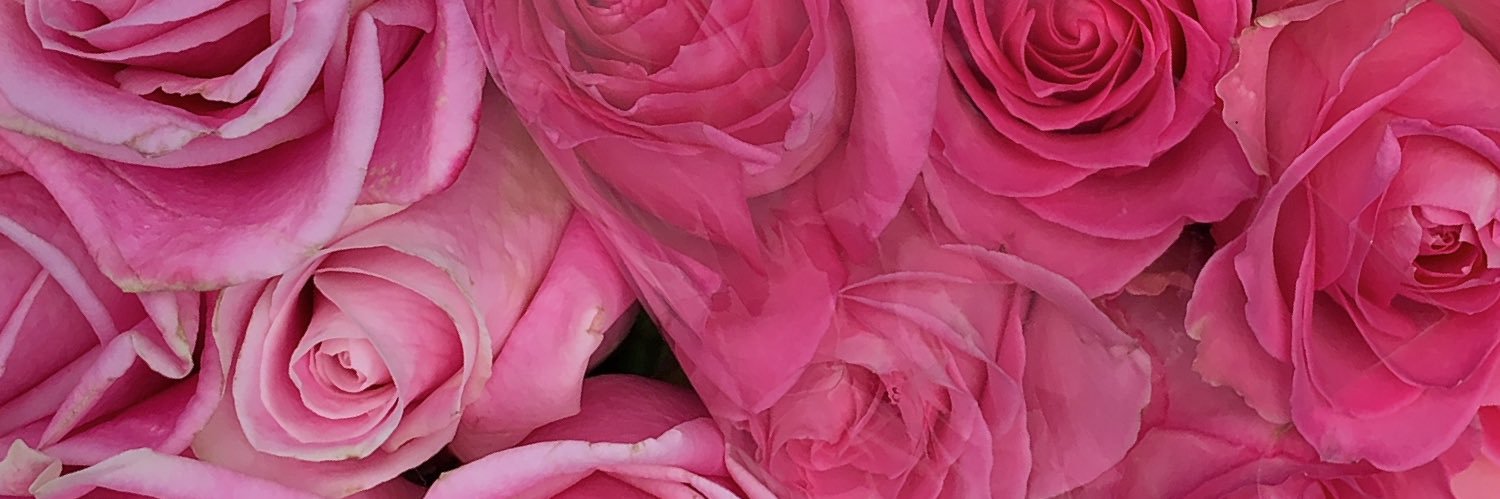gaaaabbbsss's profile banner image