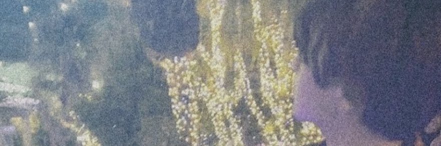 🎀 banner