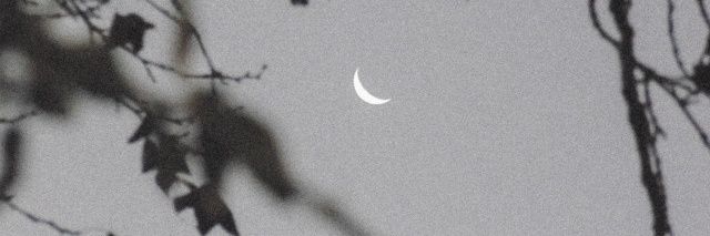 Hoe69691's profile banner image