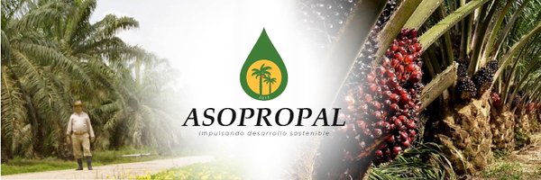 ASOPROPAL DEL ECUADOR Profile Banner