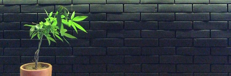 nganubal's profile banner image