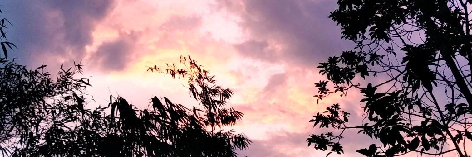 Tan banner