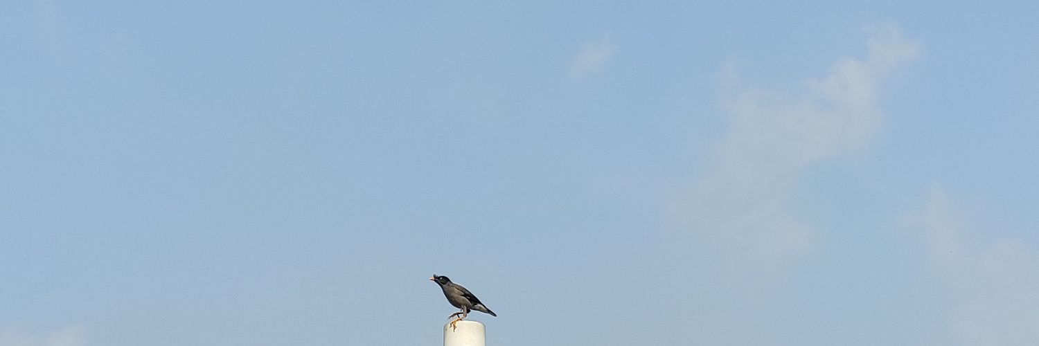 nasimmumtajy's profile banner image