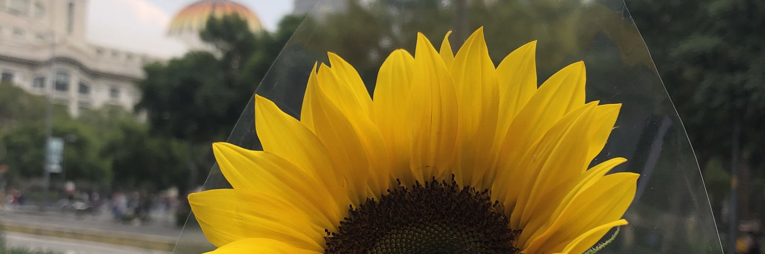 mariana_sin_a's profile banner image