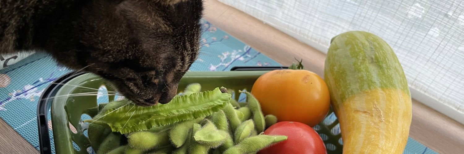sapvegetable's profile banner image