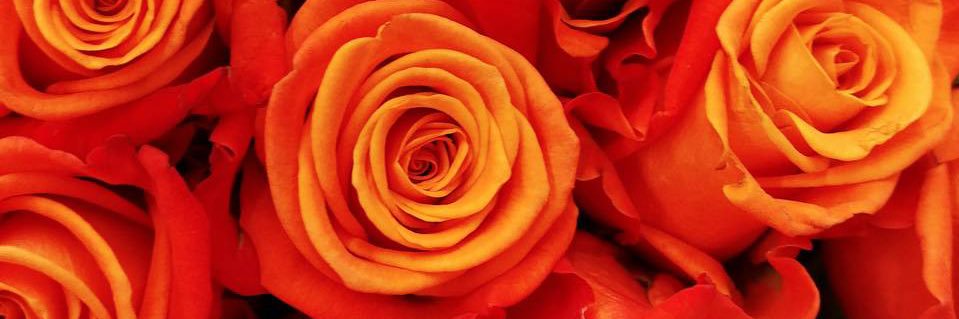 _Orangebabii's profile banner image