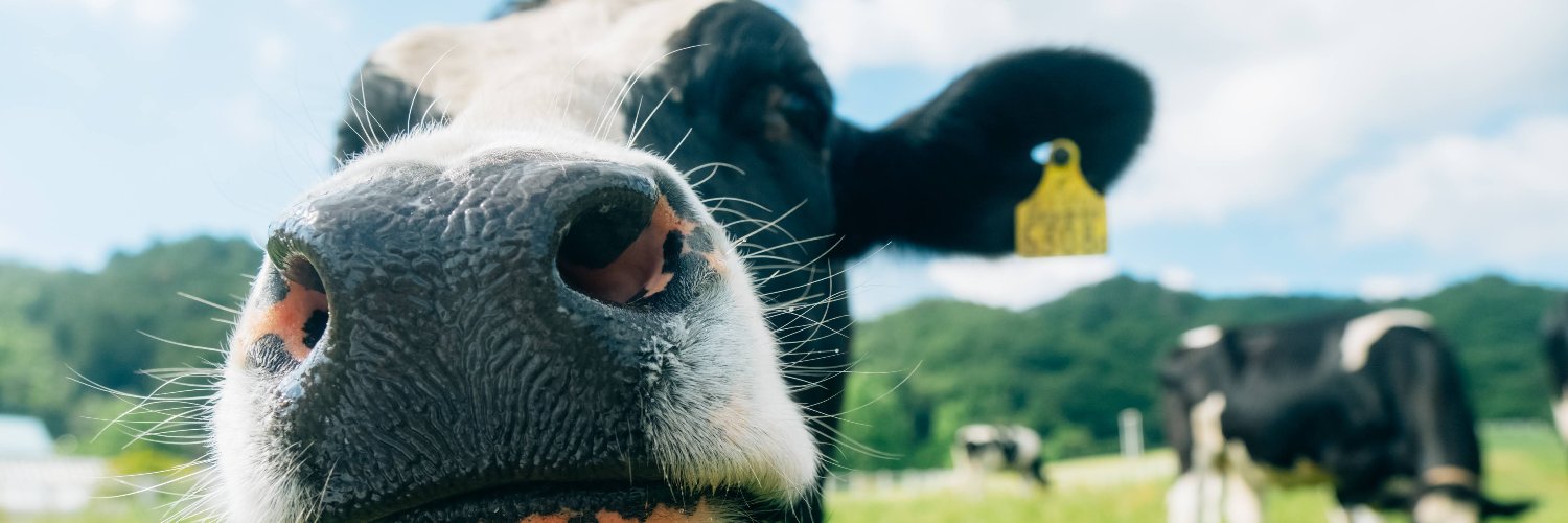 funakata_farm's profile banner image