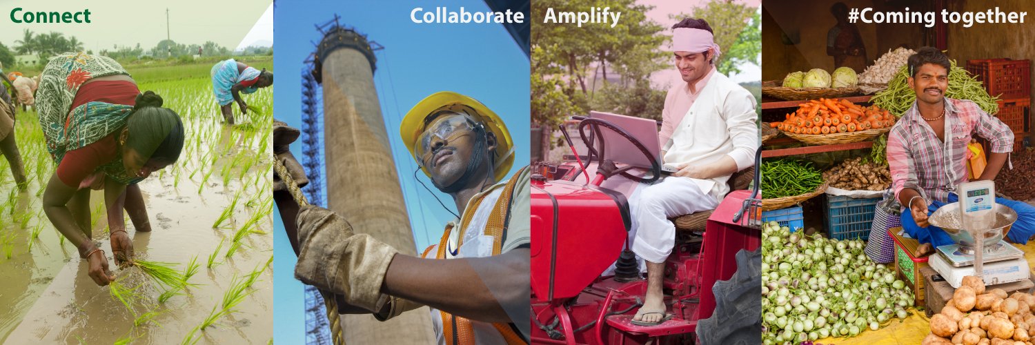 India Livelihoods Collective banner