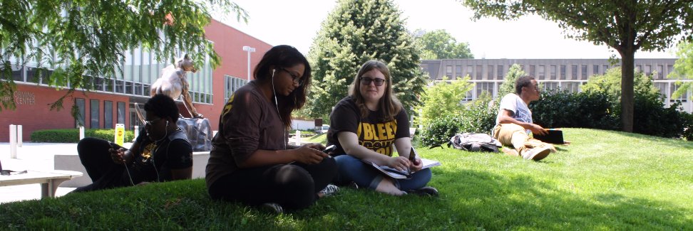 Adelphi Technology banner