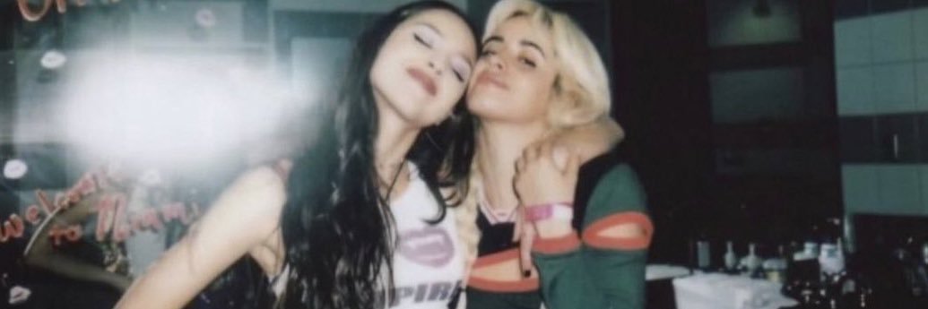 camilamyall's profile banner image