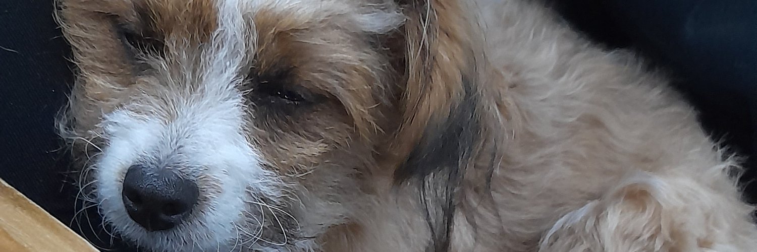 Daaichus79's profile banner image