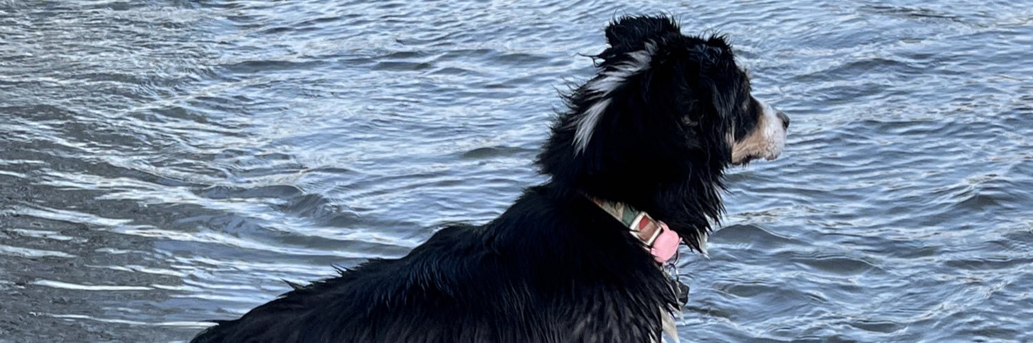 MattiUlven's profile banner image