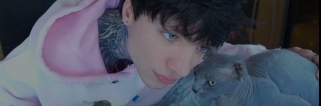 ⊹ ࣪ ˖ Patsy ⊹ ࣪ ˖ banner