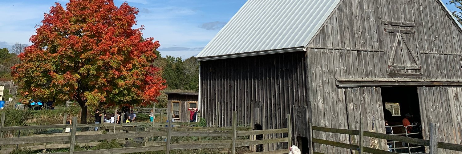 mattwhouse's profile banner image
