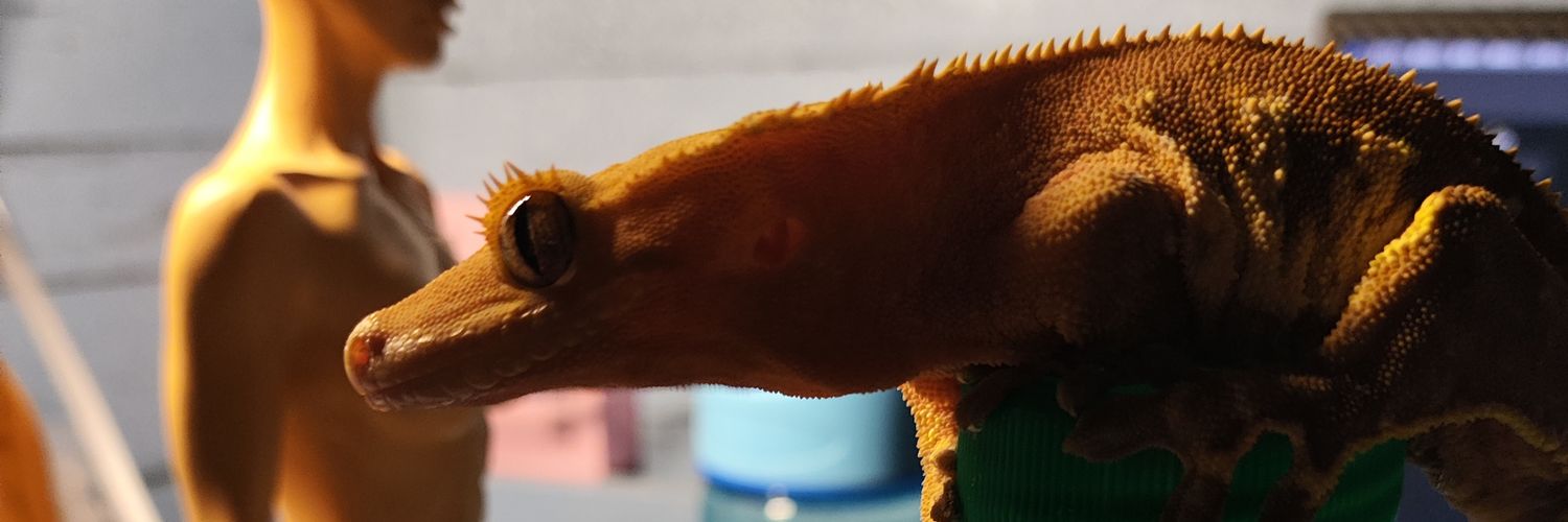 𓆈蜴拉罐 banner