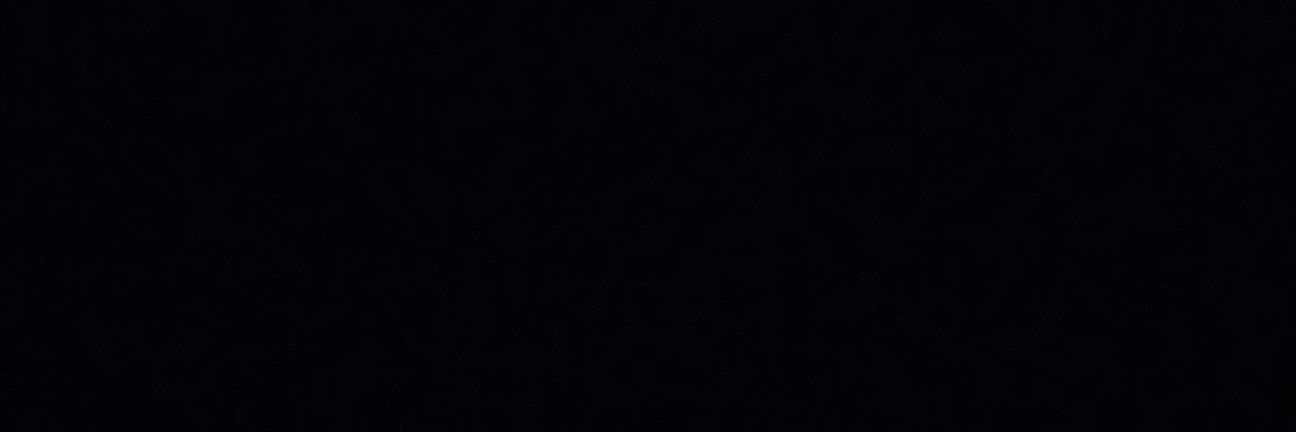 Ruca🐕 banner