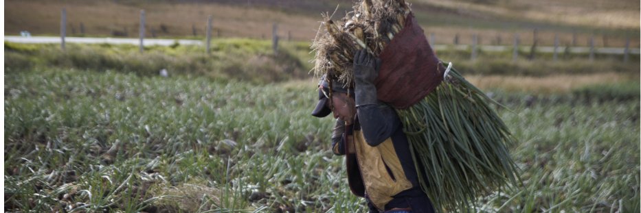 OsmaEdgar's profile banner image